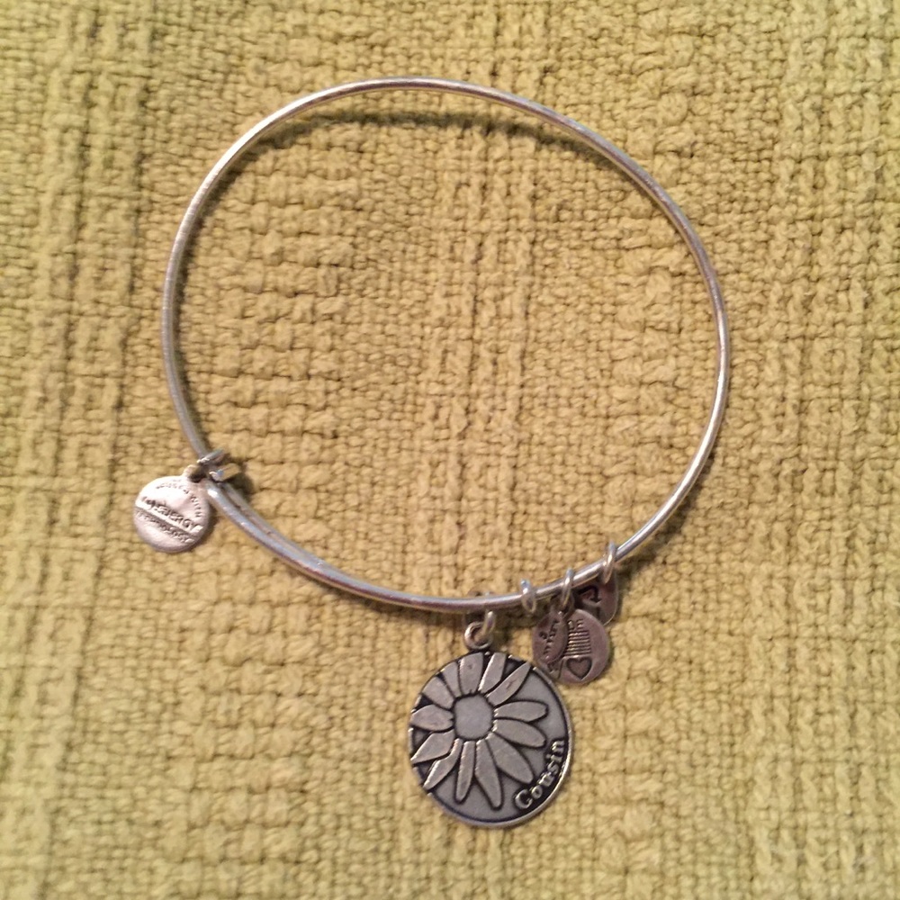 Alex & Ani Bangle ~ Cousin Silver